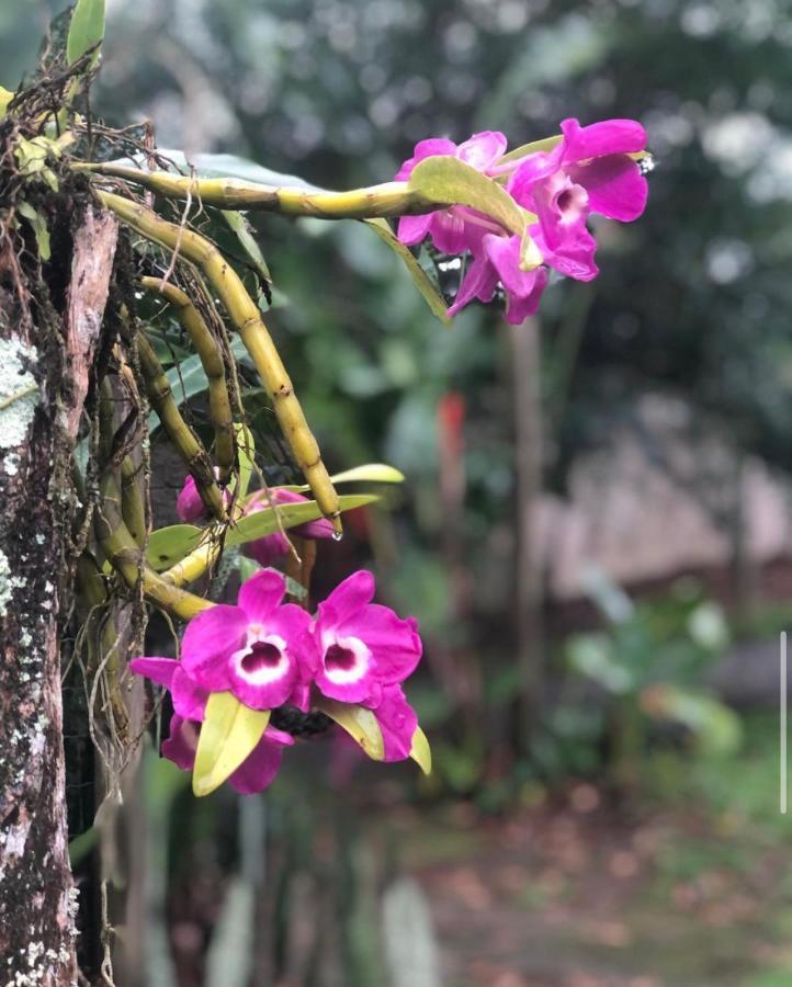 Vila Casario Araquari Exteriér fotografie